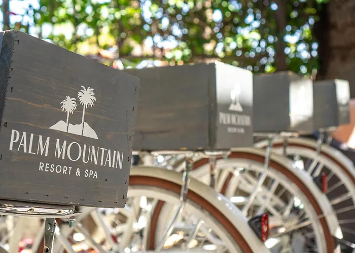 Palm Mountain Resort & Spa