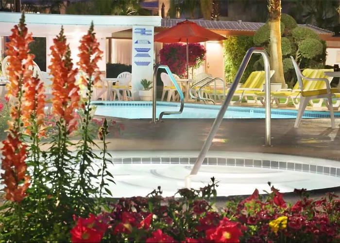 A Place in the Sun: Adults-Only Midcentury Boutique with Heated Pool